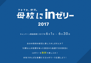 謎のダンボール！？