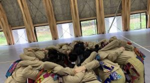 チームダンス選手権